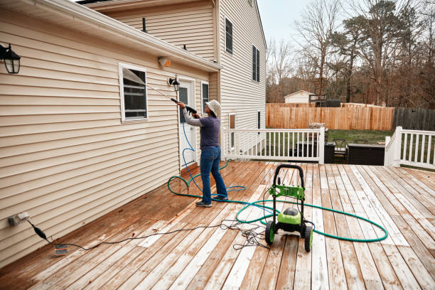 Local Pressure Washing Services in Dunedin, FL