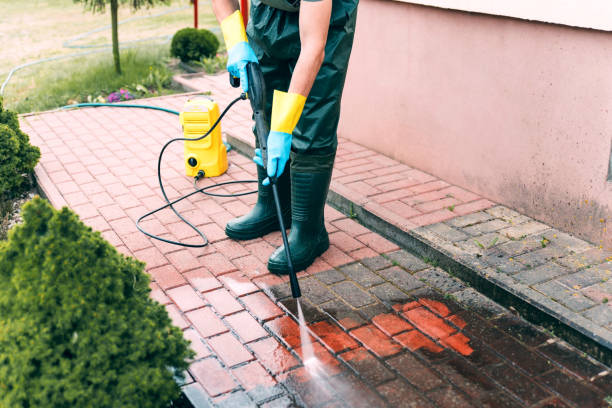 Best House Pressure Washing  in Dunedin, FL