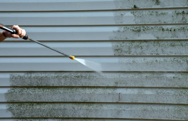 Best Roof Pressure Washing  in Dunedin, FL