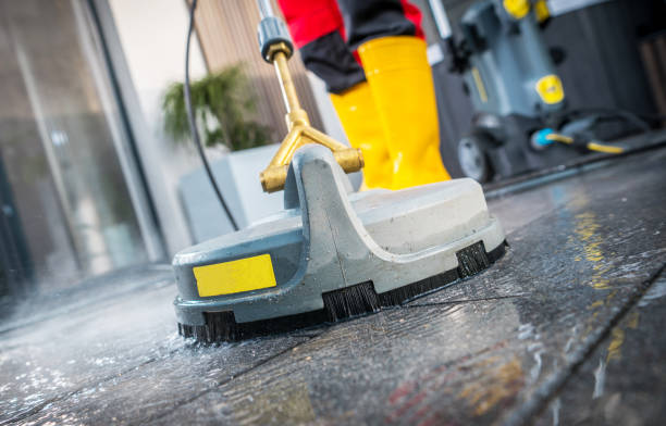 Best Pressure Washing Near Me  in Dunedin, FL