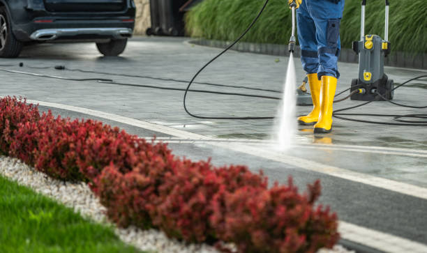 Best Commercial Pressure Washing  in Dunedin, FL