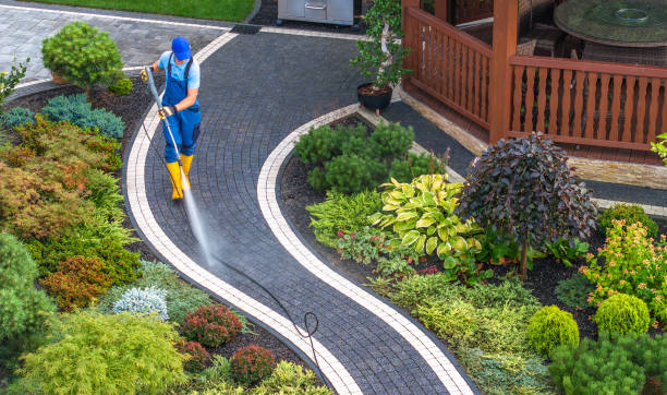Best Pressure Washing Patio  in Dunedin, FL