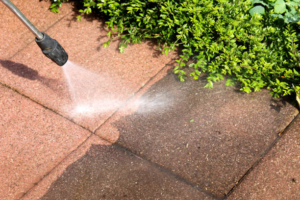 Best Residential Pressure Washing Services  in Dunedin, FL